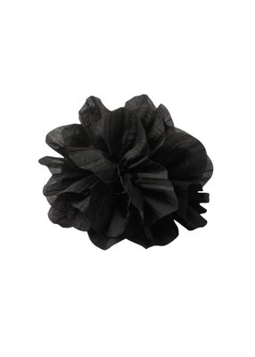 Pinche Tere Negro Humana