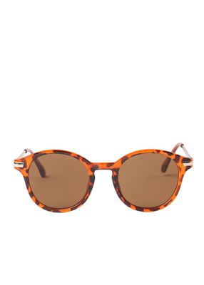 Anteojos de Sol Maia Café i-D