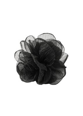 Pinche Romi Negro Humana