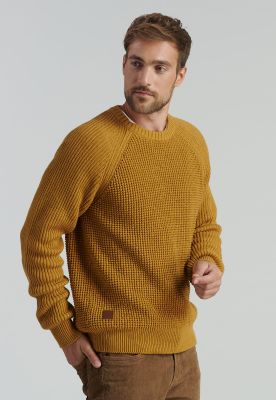 Sweater Austin Fjs Mustard