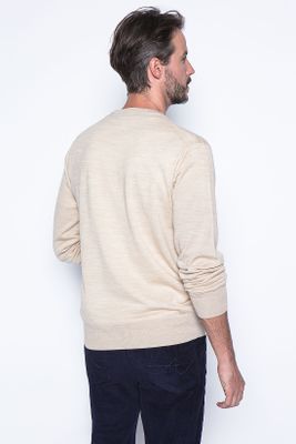 Imagen 2 del producto Sweater Lyon Camel
