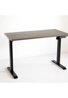 Escritorio Elevable Eléctrico - Altura Ajustable y Diseño Ergonómico