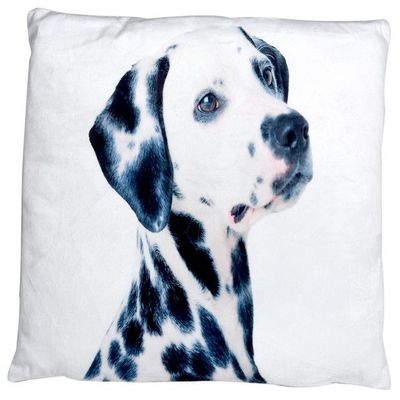 Funda Decorativa Para Cojín Dálmata Pintado