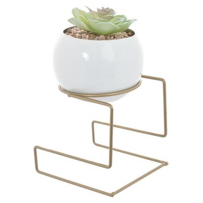 Imagen 2 del producto Suculenta Decorativa Bola Pedestal