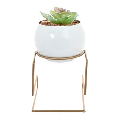 Imagen 1 del producto Suculenta Decorativa Bola Pedestal