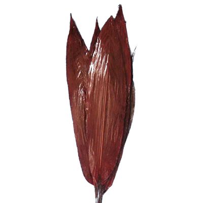 Imagen 2 del producto Arreglo Decorativo Ramo Aspidistra Rojo Seco 6 Piezas