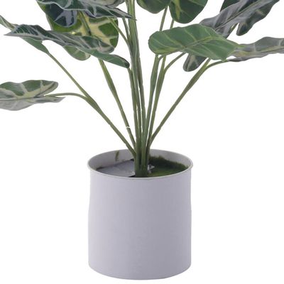 Imagen 2 del producto Planta Decora Artificial Alocasia Zebrina Blanca