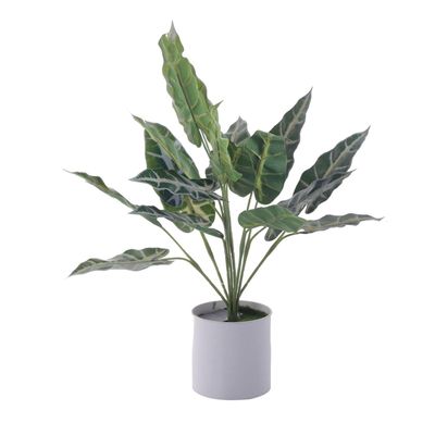 Imagen 1 del producto Planta Decora Artificial Alocasia Zebrina Blanca