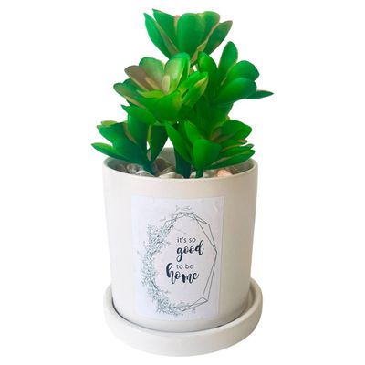 Planta Decorativa Good To Be Home Maceta Blanca