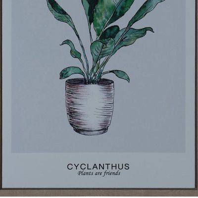 Imagen 2 del producto Cuadro Decorativo Cyclanthus Friend 70 x 50