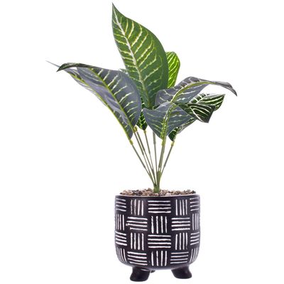 Imagen 1 del producto Planta Artificial Dieffenbachia Maceta Kenya