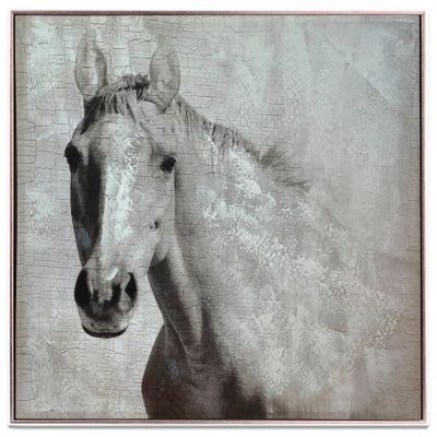 Cuadro Decorativo Pegasus 83x83