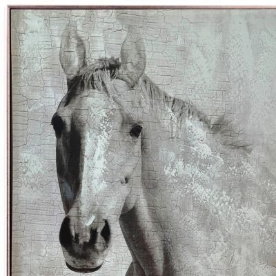 Imagen 2 del producto Cuadro Decorativo Pegasus 83x83