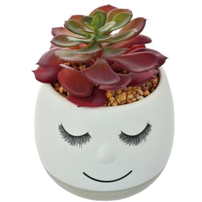 Imagen 2 del producto Suculenta Decorativa Maceta Flavia Grey