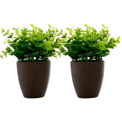 Set de Plantas Decorativa Artificial Maceta Cafe