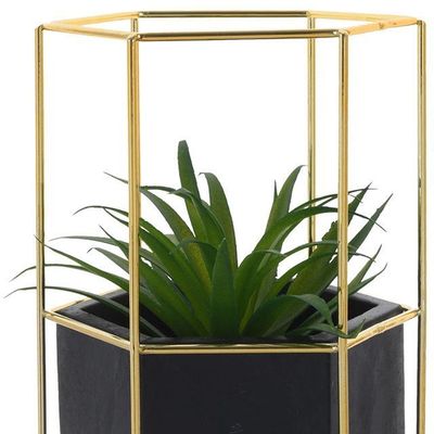 Imagen 2 del producto Planta Decorativa Ágave Maceta Hexagonal