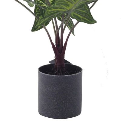 Imagen 2 del producto Planta Decorativa Artificial Alocasia Zebrina