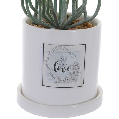 Imagen 2 del producto Planta Decorativa All You Need Love Maceta Blanca