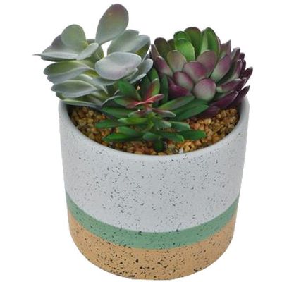 Imagen 2 del producto Suculenta Decorativa Maceta Artdeco