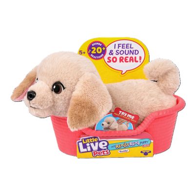 Little Live Pets Cachorro Mini Labrador Buddy