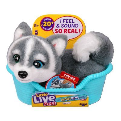 Little Live Pets Cachorro Mini Husky Aurora