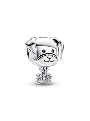 Imagen 1 del producto Charm Perro Mascota y Hueso