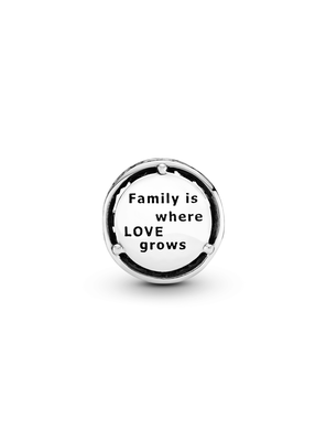 Imagen 2 del producto Charm Raíces Familiares Calado