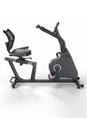 Imagen 2 del producto Bicicleta reclinada Ten Series Dreamline R1