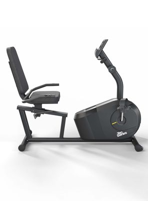 Imagen 2 del producto Bicicleta Reclinada Ten Series M2000R