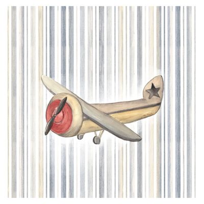 Imagen 2 del producto CUBREPLUMÓN TRANSICIÓN AVIÓN