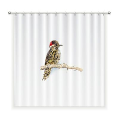 CORTINA BAÑO ALGODÓN CARPINTERITO