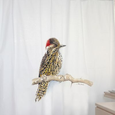 Imagen 2 del producto CORTINA BAÑO ALGODÓN CARPINTERITO