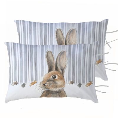 Imagen 1 del producto PACK 2 FUNDAS ALMOHADA PEDRO RABBIT 50X70