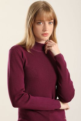 Imagen 1 del producto Jersey punto, rivete metalizado, ciruela Liola