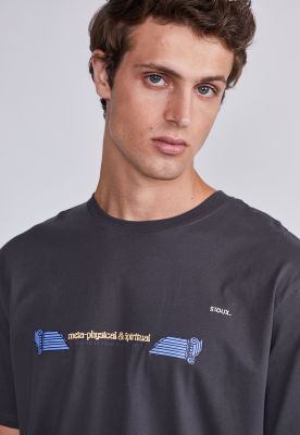 Imagen 2 del producto Polera Hombre Acero Escarabajo Meta Sioux