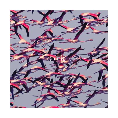 Vinilo Deftones/ Gore 2Lp