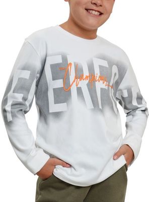 Polera Manga Afranelada larga Niño Estampado