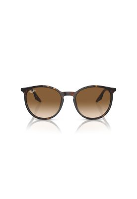 Ray-Ban Lentes de Sol RB2204 902/51 54