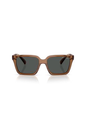 Lentes de Sol Marrón Armani Exchange AX4147S835887