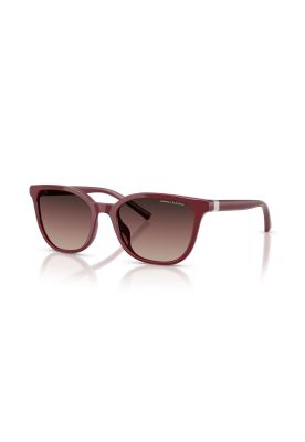 Imagen 2 del producto Armani Exchange Lentes de Sol Degradados AX4168SU 8387E2 54