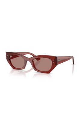 Imagen 2 del producto Lentes de Sol Zena Marrón Ray-Ban RB4430680973