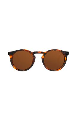 Lentes de Sol Marron Northweek NS0604080