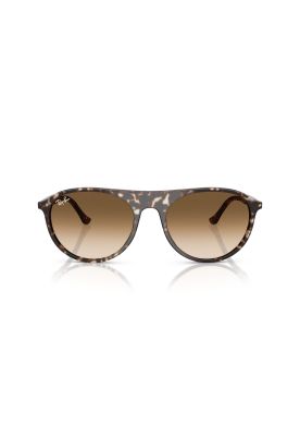Imagen 1 del producto Ray-Ban Lentes de Sol Degradados RB2215 143151 59