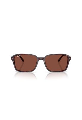 Ray-Ban Lentes de Sol Raimond RB2231 1416C5 58