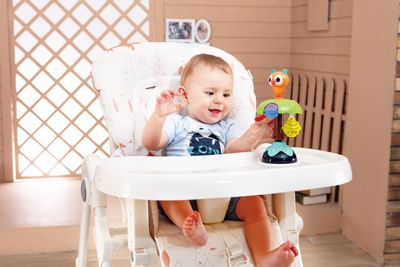 Imagen 2 del producto Juguete Universal Fun Owl