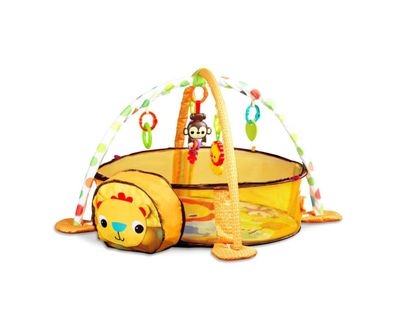 Gimnasio Corral Pelotas Zoo Yellow