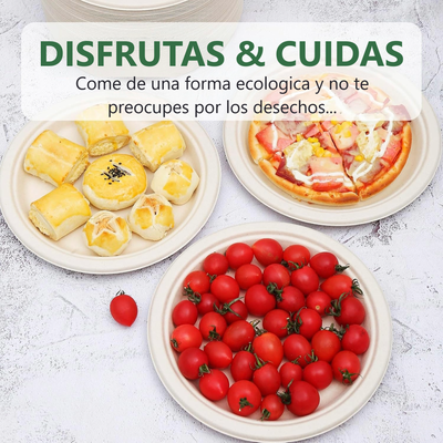 Imagen 2 del producto 125 Platos Desechables De Papel Compostables Biodegradables Blanco