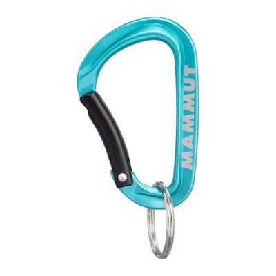 Llavero Mammut Mammut Mini Carabiner Classic Keylock S Celeste