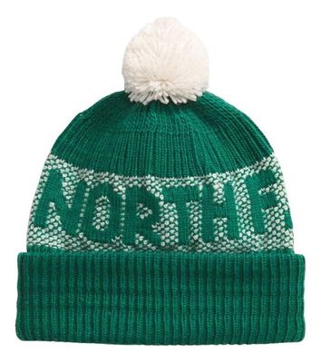 Imagen 1 del producto Gorro The North Face Retro Cabin Verde