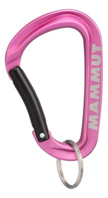 Imagen 2 del producto Llavero Mammut Unisex Mosqueton Carabiner Workhorse L Negro